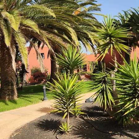Eternal Summer In * Corralejo